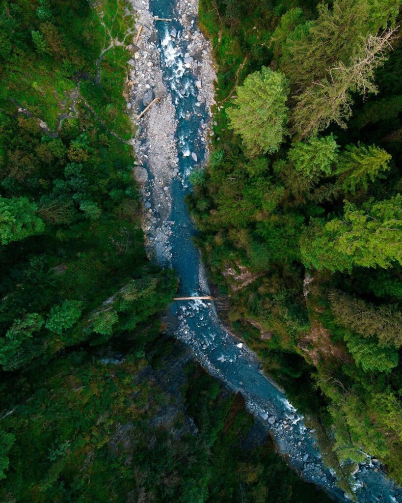 Sharan Forest "Kumrat Valley"